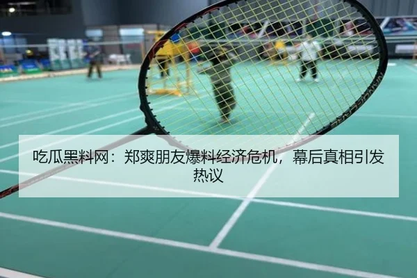 吃瓜黑料网：郑爽朋友爆料经济危机，幕后真相引发热议
